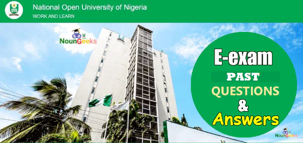 Noun e-exam past questions and answers