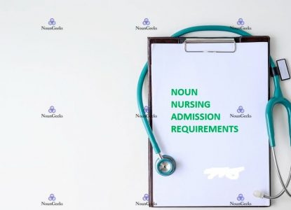 noun nursing