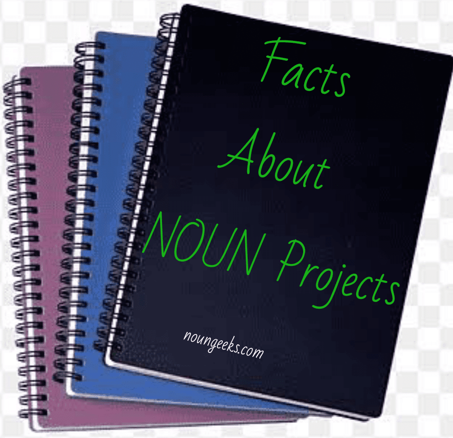 facts about NOUN projects
