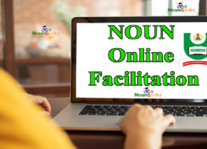 noun online facilitation