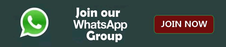 noungeeks whatsapp group