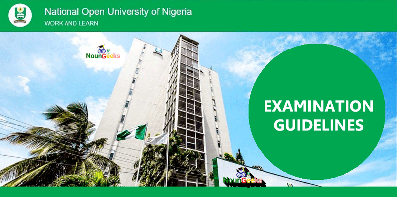 noun exam guidelines