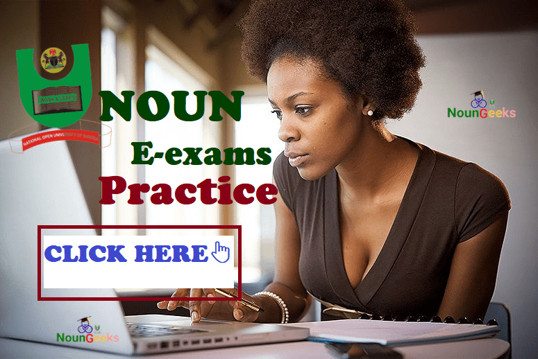 noun e-exams practice