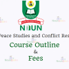 NOUN M.Sc. Peace Studies and Conflict Resolution Course Outline and Fees