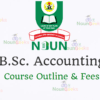 NOUN B.Sc. accounting course outline and fees